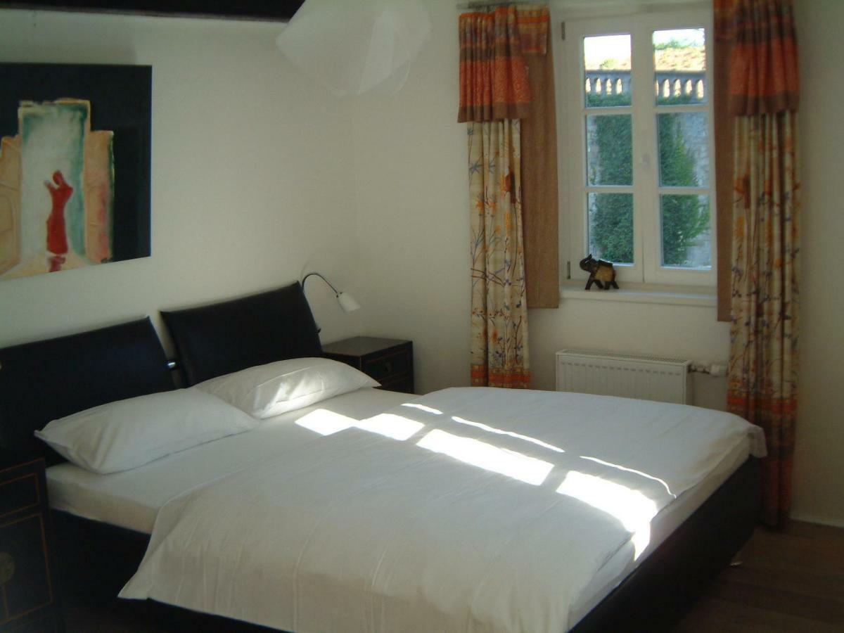 Apartment Kirschgarten Rochusstrasse *